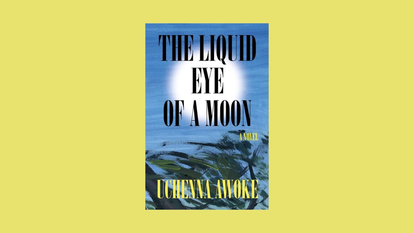 « The Liquid Eye of a Moon » est une histoire de passage à l'âge adulte nigériane